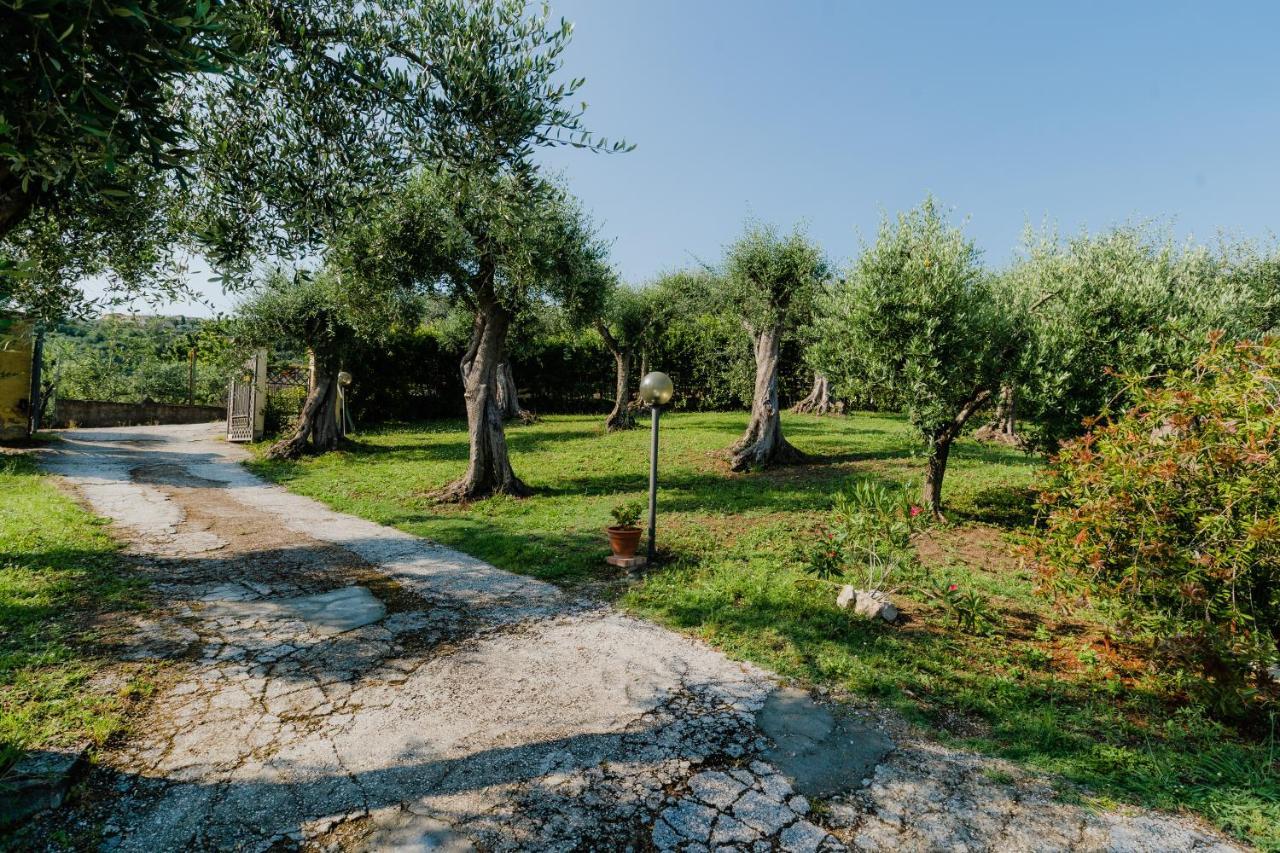 La Tana Del Geco Villa Massarosa Exterior photo
